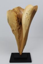 Shell Form No. 64 View 2