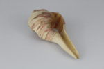 Shell Form No. 65 View 3